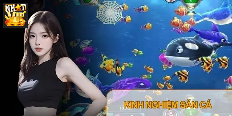 Các bước tham gia chơi Bắn cá tại cổng game Nhatvip